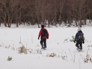 知床自然センターから森の中へ