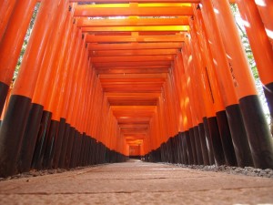 千本鳥居（ローアングル版）