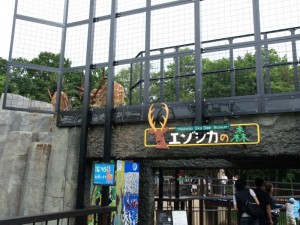 旭山動物園：　エゾシカの森